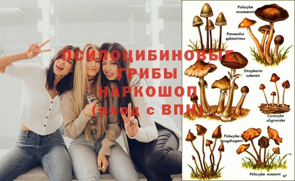 кокаин перу Алексеевка