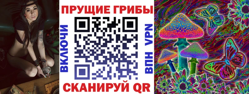 Псилоцибиновые грибы прущие грибы Тында